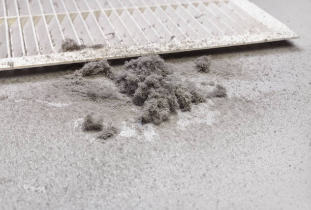 Best Air Duct Inspection  in Washburn, ND